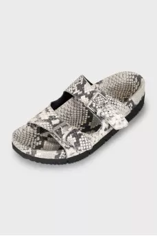 Animal print slides