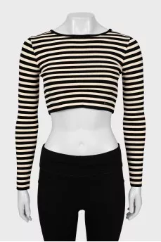 Striped cropped long sleeve with tag