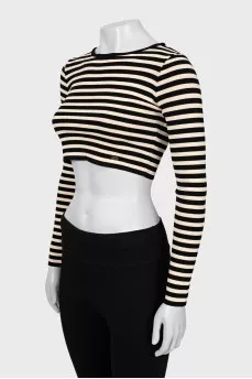 Striped cropped long sleeve with tag