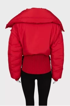 Cropped down jacket with embroidered sleeves