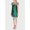 Ashish dress