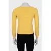 Yellow striped jumper