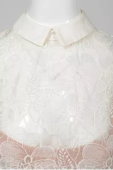 Lace dress with collar