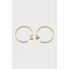 Gold stud earrings
