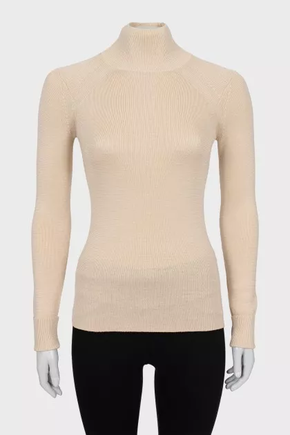 Long sleeve tight turtleneck