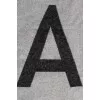 Grey scarf with signature print