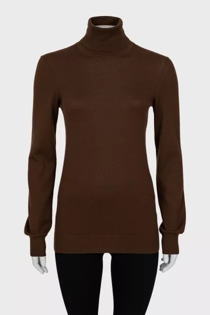Brown fitted turtleneck