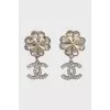 Silver earrings with crystals