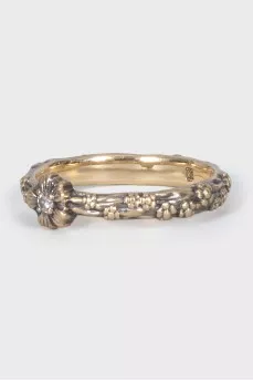 Golden Ring Forget-me-not