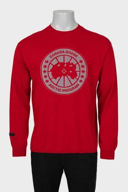 Men's wool sweater with logo