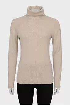 Thin turtleneck sweater