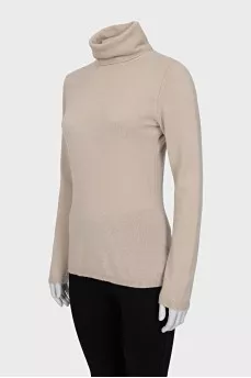 Thin turtleneck sweater