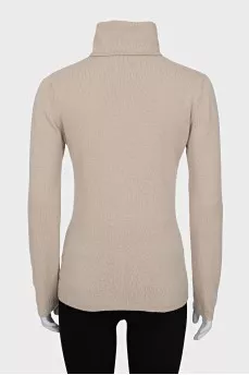 Thin turtleneck sweater