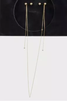 Earrings in the form of a chain with a tag