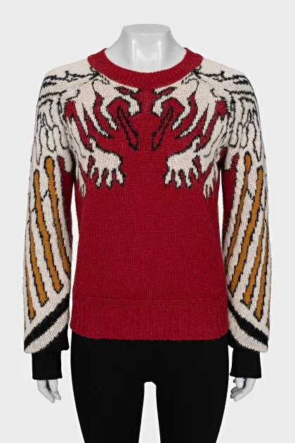 Red sweater with a print