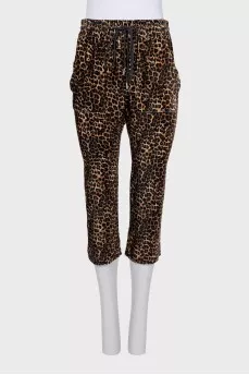 Animal print breeches