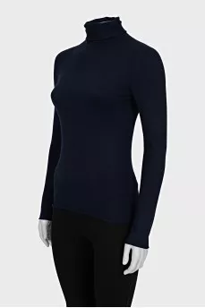 Blue fitted turtleneck