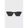 Wayfarer tinted sunglasses