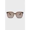 Brown Wayfarer Sunglasses