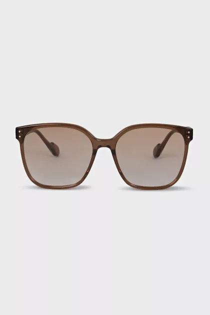 Brown Wayfarer Sunglasses