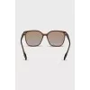 Brown Wayfarer Sunglasses