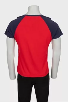 Men's T-shirt decorated with embroidery