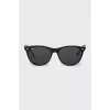 Wayfarer sunglasses in brown