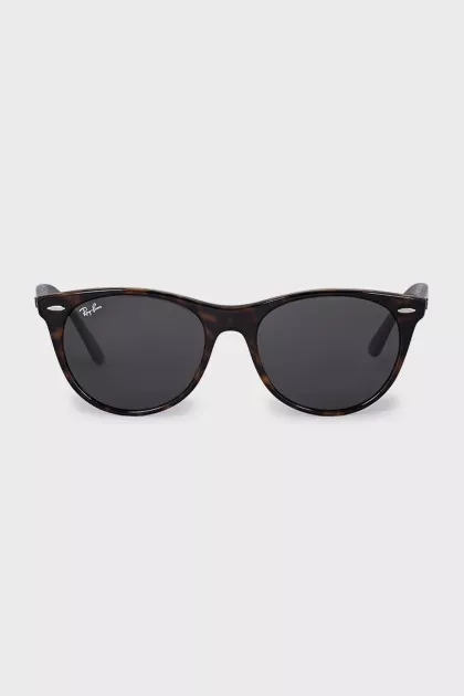 Wayfarer sunglasses in brown