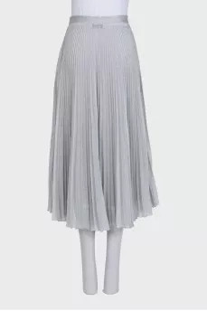 Semi-transparent pleated skirt