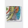 Plumes en Fete cashmere and silk scarf