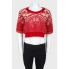 Cropped sweater with sequins